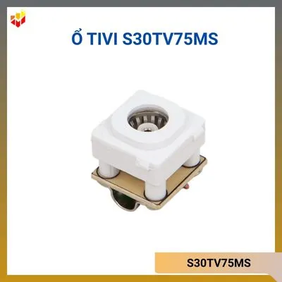 Ổ Tivi S30TV75MS Anten Sino Vanlock giá rẻ