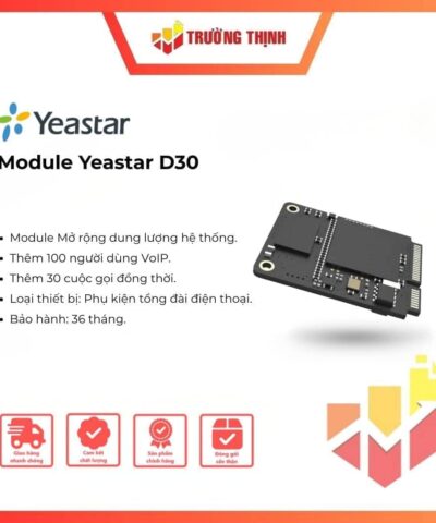 Module Yeastar D30