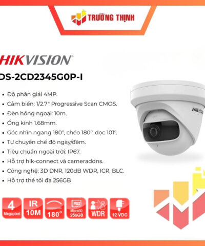 DS-2CD2345G0P-I