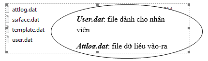 TẢI NHÂN VIÊN TỪ USB VỀ PHẦN MỀM
