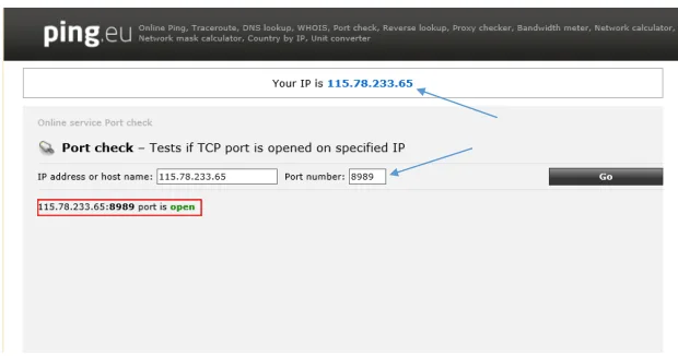 Kiểm tra IP