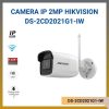 DS-2CD2021G1-IW-1