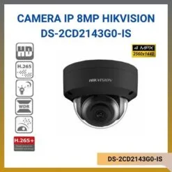 DS-2CD2143G0-IS