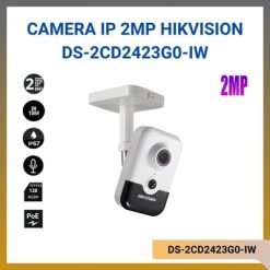 DS-2CD2423G0-IW