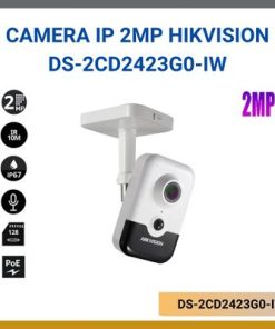 DS-2CD2423G0-IW