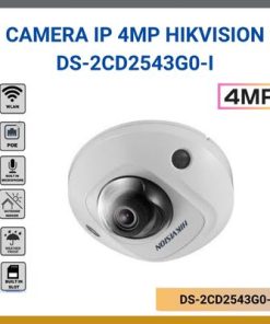 DS-2CD2543G0-I