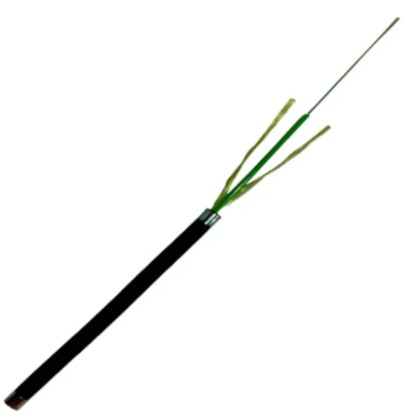 Cáp Quang 1 FO