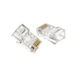 Đầu Mạng AMP