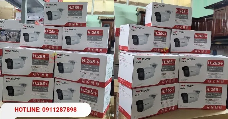 Camera Hikvision DS-2CD2021G1-I