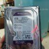 Ổ Cứng HDD Western Digital Purple 1TB