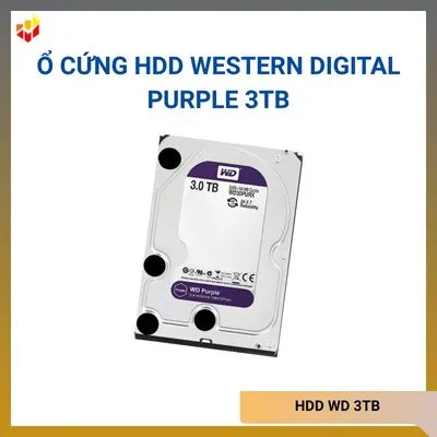 Ổ Cứng HDD Western Digital Purple 3TB