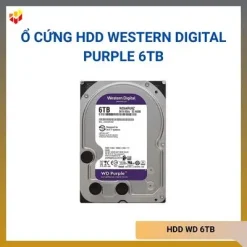 Ổ Cứng HDD Western Digital Purple 6TB