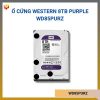 ổ cứng Western 8TB Purple WD85PURZ