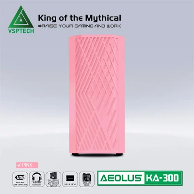 Case KA-300 Hồng