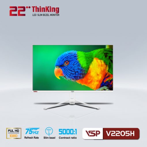 Màn Hình 22" VSP - V2205H