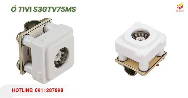 Ổ Tivi S30TV75MS