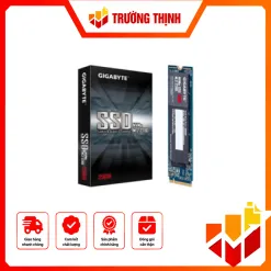 Ổ cứng SSD Gigabyte 256G M2 2280 NVMe PCLe Gen3 x4 (GP-GSM2NE3256GNTD)