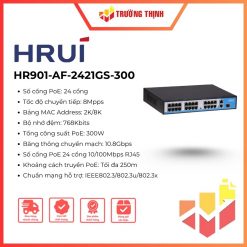 Switch Hrui HR901-AF-2421GS-300