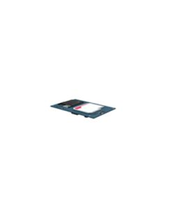 LTE Module