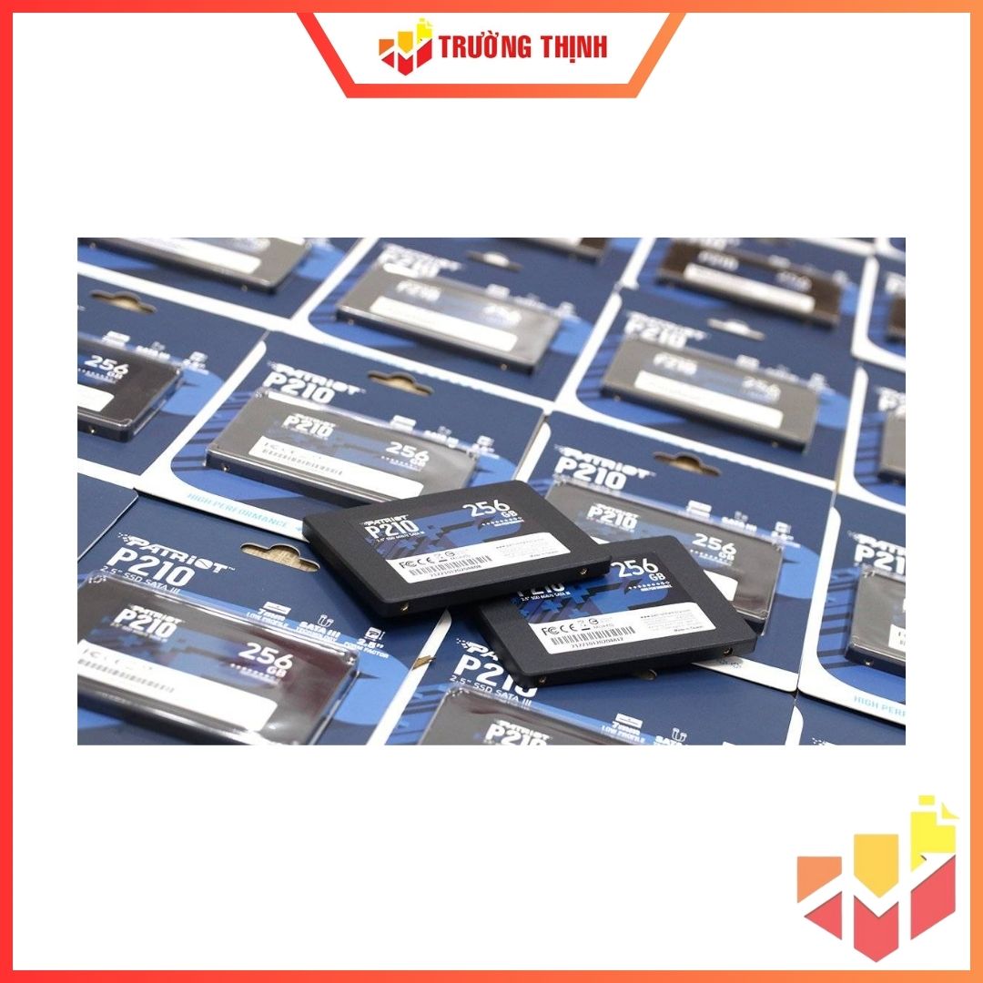 Ổ cứng SSD 256GB P210