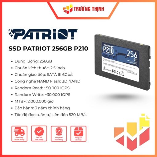 SSD PATRIOT 256GB P210