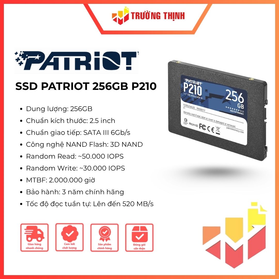 SSD PATRIOT 256GB P210