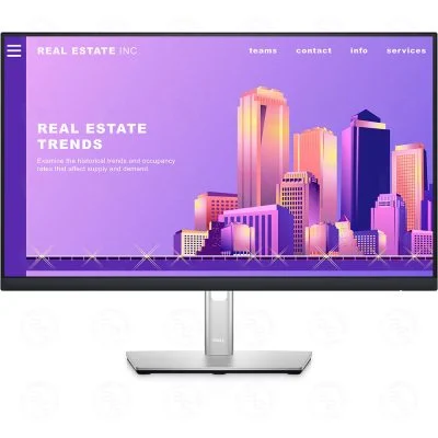 Màn hình LCD Dell P2422H