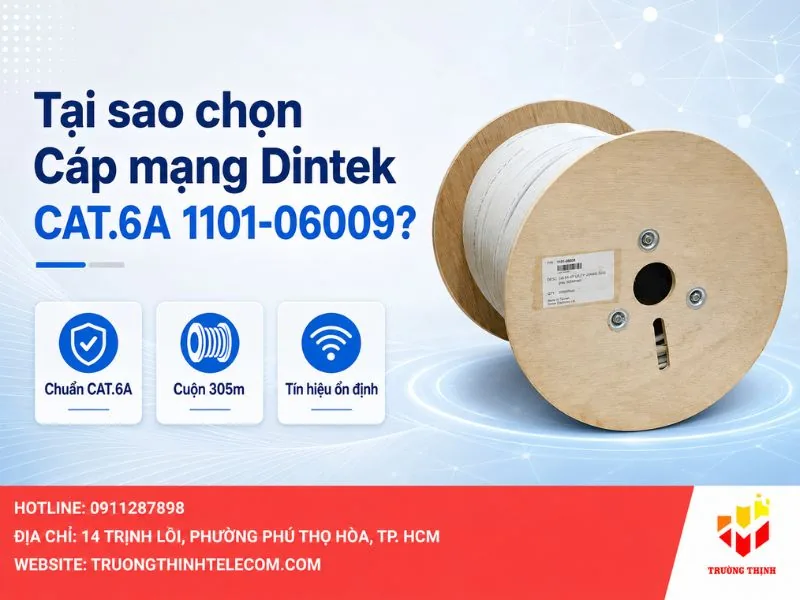 Tại sao chọn Cáp mạng Dintek CAT.6A 1101-06009?
