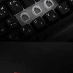 Bàn phím Gaming có dây Newmen GM818