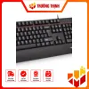 NEWMEN T260+