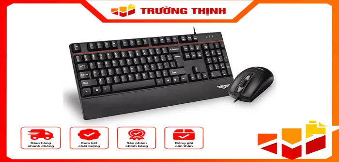 NEWMEN T260+