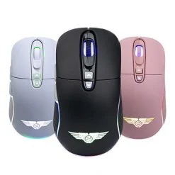 NEWMEN WGX6