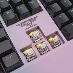 Bàn phím cơ Gaming có dây Newmen GM700