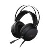 Rapoo VH310