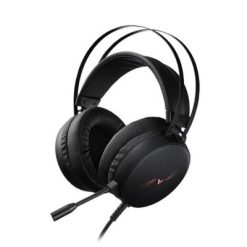 Rapoo VH310