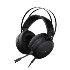 Rapoo VH310