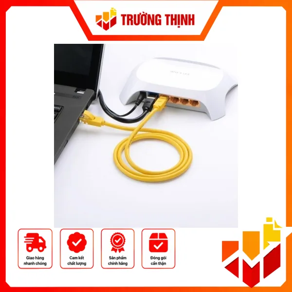 Cáp Mạng Đúc Sẵn Cat5e 1M Ugreen 11230