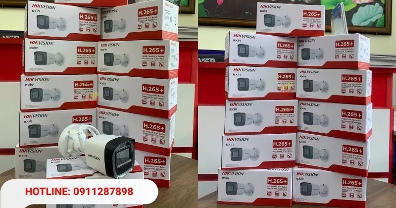 Hikvision DS-2CD1021G0-I