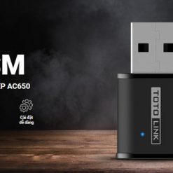 Card Mạng không dây USB Totolink A650USM