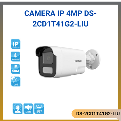DS-2CD1T41G2-LIU