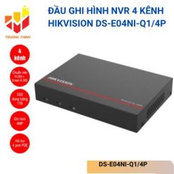DS-E04NI-Q1/4P