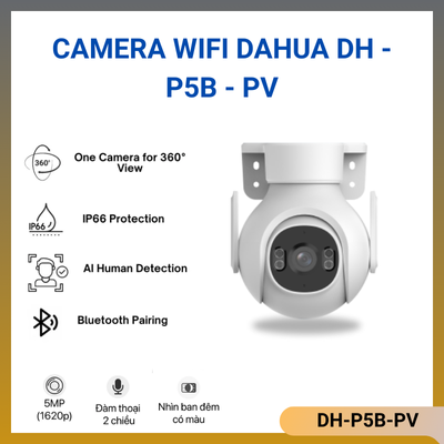 DH-P5B-PV