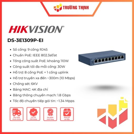 DS-3E1309P-EI