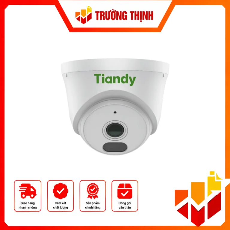 Camera IP Dome hồng ngoại Tiandy 2MP TC-C320N 1ANB-28