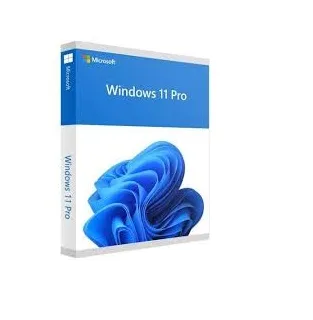 Phần mềm Windows 11 Pro 64bit FQC-10528