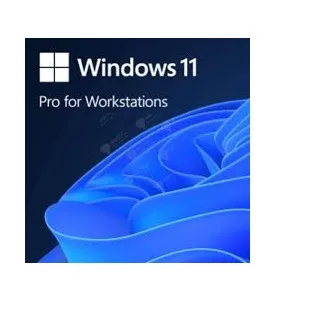 Phần mềm Microsoft Win Pro for Wrkstns HZV-00101