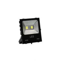 100W COB