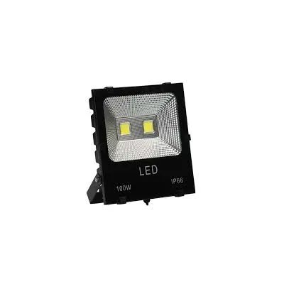100W COB