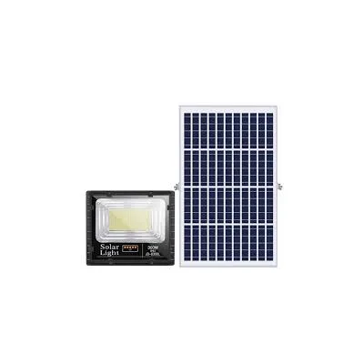 JINDIAN JD 300W MONO