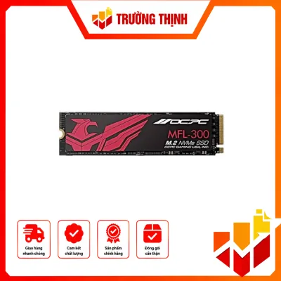 OCPC SSDM2PCIEF256GB